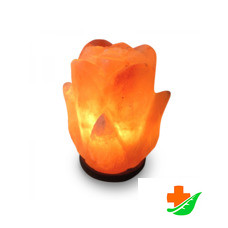 Солевая лампа WONDER LIFE Цветок 2-3кг